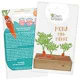 Mini Möhren Samen für ca 300 Pflanzen: Premium Mini Möhrensamen für Kinder und Erwachsene – Baby Karotten Samen – Mona Mini Möhre – Mini Gemüse Saatgut für Kids – Saat Samen Karotten von OwnGrown