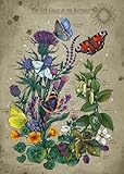 Ravensburger Puzzle 12001435 - Lifecircle Butterfly - 1000 Teile Puzzle für Erwachsene und Kinder ab 14 Jahren