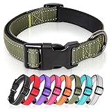 HEELE Hundehalsband, Hundehalsband aus Nylon, Reflektierend Halsband Hund mit Weich Neopren Gepolstert für Welpen Kleine Mittel Große Hunde Läng Einstellbereich 26-38cm, Grün, S