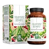 DAO Enzym Komplex mit Diaminoxidase aus Erbsen – 60 vegane DAO Kapseln – bei histaminreicher Ernährung – bis zu 60-Tage-Vorrat - NATURTREU® Toleranzschatz