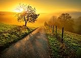 Ravensburger Puzzle 1000 Teile Landschaft in Morgensonne - Farbenfrohes Puzzle für Erwachsene und Kindern in bewährter Qualität