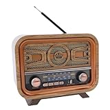 JTLB Retro Transistor Radio, Tragbares Vintage -Radio Wiederaufladbar Am FM SW -Lautsprecher mit USB Aux MP3 Player (Helle Farbe)