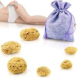 tom&pat Menstruationsschwamm, Alternative zu Soft-Tampons, Dermatest: Sehr gut, Wechseldose für unterwegs, Naturschwamm als Perioden-Schwamm, waschbar & wiederverwendbar (Gr. S&M, 6 x 3-7 cm)