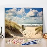 TISHIRON Malen Nach Zahlen Set für Erwachsene Strand Sonniger Tag an der Dünenküste Nordsee abstraktes Erwachsenen Malen Nach Zahlen Set Sonnenuntergang Ölmalerei Kunsthandwerk 40x50 cm