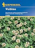Kiepenkerl Weißklee, 60 g 616899 - Frostharte Gründungspflanzen - mehrjähriger Klee - Inhalt für 30qm - Wuchshöhe 30 cm - Saatgut - Samen, Pflanzen