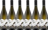 Albrecht Schwegler WEISS von den Parzellen 2023 Trocken (6 x 0.75 l)