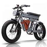 YYG E Bike Elektrofahrrad 20 Zoll Ebike 250W 20km/h, entfernbare Batterie 48V/20Ah, Fetter Reifen Pendler elektrisches Fahrrad, Dual Suspension Motorräder Schwarz