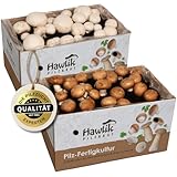 Hawlik Pilzbrut Champignon Pilzzuchtset Spar-Bundle– 2 kleine Zuchtboxen für Champignons – Pilze ohne Vorwissen oder Zubehör anbauen – Perfekte Geschenkidee für DIY-Fans, Kinder und Gartenbegeisterte