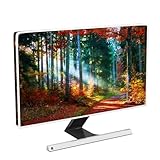 Baocicco Herbstwald Computer-Monitor-Staubschutz, 55,9 cm, 61 cm, 61 cm, 63,5 cm, Sonnenlicht, rote Blätter, Weg, wasserdicht, antistatisch, staubdicht, Schutzhülle für LCD/LED/HD, Naturlandschaft
