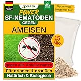GREEN GUARDIA Super SF-Nematoden – Natürliche Unterstützung bei Ameisen im Garten – umweltfreundlich, ohne Chemie, einfach anzuwenden (10 Mio. für 20m²)