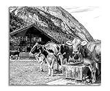 Kühe auf Almwiese am Trog, Monochrome Herdabdeckplatte & Spritzschutz aus Echtglas | Für Herd-Kochfelder | 60x52 cm