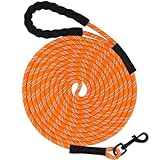 Taglory Schleppleine 10m für Hunde | Reflektierendes Seil | Gepolsterter Griff | 8mm Orange