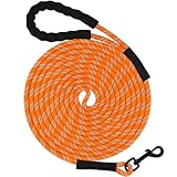 Taglory Schleppleine 10m für Hunde | Reflektierendes Seil | Gepolsterter Griff | 8mm Orange