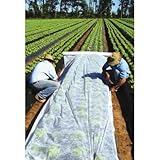MEGRAN AGROHIT Gartenvlies, Weißes Pflanzvlies zur Abdeckung von Gemüsebeeten, Vlies gegen Insekten, Wildfraß, Sturm, Hagel & Hitze, Wetterbeständig, Luft- und Feuchtigkeitsdurchlässig, 3,2 m x 20 m