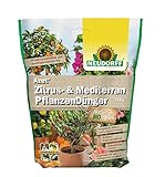 Neudorff Azet Zitrus- & MediterranpflanzenDünger – Bio Langzeitdünger mit Mykorrhiza fördert aromatische Früchte wie Zitronen, Orangen und Oliven, 750 g