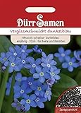 Vergissmeinnicht Samen dunkelblau Vergissmeinnichtsamen Schmuckpflanze Rabatten Steingarten ca 400 Korn Saatgut Dürr Samen