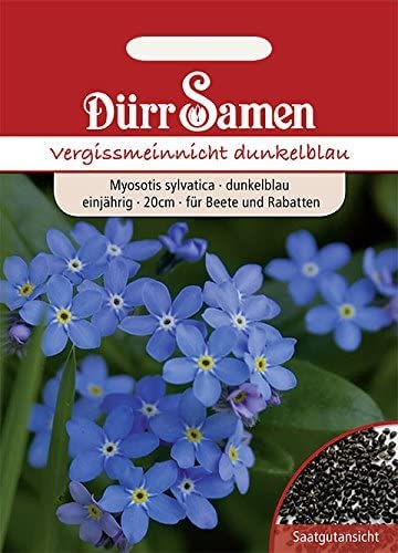 Vergissmeinnicht Samen dunkelblau Vergissmeinnichtsamen Schmuckpflanze Rabatten Steingarten ca 400 Korn Saatgut Dürr Samen
