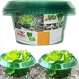 Uixxducc Schneckenkragen Inkl. Kupferband Gegen Schnecken | Schneckenschutz Hochbeet Aus Recyclebarem PET | Schneckenabwehr Chemiefrei (20pcs)