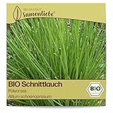Samenliebe BIO Schnittlauch Samen Polycross Küchenkräuter Gartenkräuter grün 1g samenfestes Kräuter Saatgut für Küche indoor und Balkon Garten BIO Kräutersamen mehrjährig und winterhart