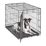 MidWest Homes for Pets iCrate Modell 1530 Hundebox, ca. 76 cm lang, mit Einzeltür, auslaufsicherer Bodenwanne, Bodenschutzfüßen, Trenneinsatz und patentierten Funktionen, schwarz