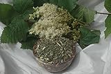 Naturix24 – Mädesüßkraut geschnitten, Mädesüßtee – 100g Beutel