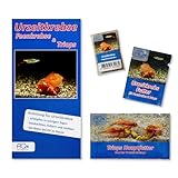 AQ4Aquaristik Triops und Feenkrebse Eier-Starter Set Urzeitkrebse Mix - mit Aufzuchtfutter, Hauptfutter und Anleitung