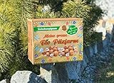 XXL Bio Steinchampignon 10 kg große Kultur, Komplettes Pilzzuchtset für die eigene Pilzzucht