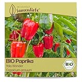 Samenliebe BIO Paprika Samen Gemüsesamen Yolo Wonder 10 Samen Gemüse Samen Garten Paprika Saatgut samenfeste einjährig Pflanzen für Gewächshaus, Garten und Balkon