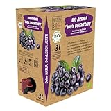 Bio Aronia Direktsaft 3 Liter Box aus deutschem Anbau - Aroniasaft aus 100% Aroniabeeren, 30 Tage Vorratspackung - Veganer Aronia Saft, ohne zugesetzten Zucker, ohne Süßstoffe (lt. Gesetz)