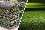 Rollrasen – 10m² echter Fertigrasen - Sorte: Premium Schattenrasen - Vorgedüngt - Frisch geschält - Gekühlt Geliefert (10 bis 500 qm verfügbar)