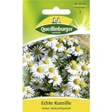 Echte Kamille Hoher Wirkstoffgehalt (Matricaria chamomilla) -