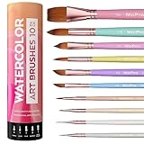 Nicpro 10 Stück Pastell Aquarell Pinsel Set, Professionelle Aquarellpinsel mit Halter und Tasche, Spitz, Rund, Künstler Pinselset für Erwachsene, Anfänger, Aquarell, Tinten, Gouache