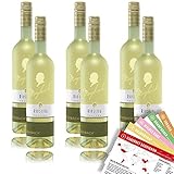 Maybach Riesling QbA, trocken, sortenreines Weinpaket + VINOX Winecards (6x0,75l)