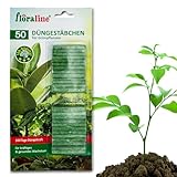 floraline® | 50x Grünpflanzen - Düngestäbchen | pro Stäbchen: Dünger für bis zu 100 Tage prächtige Blumen mit Wachstum und gesundem Aussehen | für z. Bsp. Palmen, Efeu, Hanf, Elefantenfuß