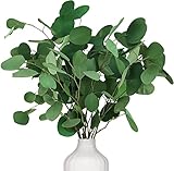 Oning Eukalyptus Getrocknet für Deko, 7-10 Pcs 100% Natürliche Echt Silberdollar Eukalyptuszweige, 15-17'' Eucalyptus Dekoration Silberdollarblätter für Hochzeit， Haus Pflanz