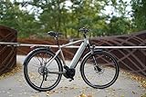 Prophete Entdecker 4.0 Trekking E-Bike 28 Zoll - 540 Wh - Integrierter Akku - Mittelmotor - 10-Gang Kettenschaltung - HDY. Scheibenbremse - Rahmenhöhe 54 cm