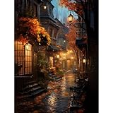 Giahism Straßenansicht Malen Nach Zahlen Erwachsene-Malen nach Zahlen für Erwachsene Landschaft,Straße Malen Nach Zahlen Ölgemälde für Home Wand Dekor(30x40cm)