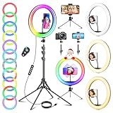 12 Zoll Ringlicht mit Stativ Handy, Tisch LED Ring Light/Kamera Handystativhalter mit Ringleuchte für YouTube, Selfie, Makeup, Tik Tok, Fotografie, 40 RGB-Modi 13 Helligkeit, Gesamthöhe 177cm