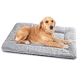 Baodan Hundebett Mittelgroße Kleine Hunde, Hundekissen Waschbar Dog Bed - 75x50 cm Superweich Katzenbett mit Rutschfester Unterseite - Grau