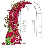 Rosenbogen Gartenbogen Torbogen Rankhilfe für Kletterpflanzen und Rosen aus Metall grün (Gartenbogen)