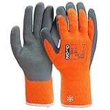 OX-ON HandschuhMan Multi Grab Winterhandschuhe Arbeitshandschuhe Thermo gefüttert, 1 Paar,Gr. 8-11 (Größe 10/XL)