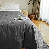 LilySilk Baumwollshell Seidendecke Reine Seide Fülldecke für Ruhe und Entspannung Vielseitige Bettdecke für Arbeit Nickerchen Reisen die ganze Saison verwenden Decke(Kohlegrau,135x178cm)