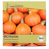 Samenliebe BIO Hokkaido-Kürbis Samen alte Sorte Hokkaido Red Kuri 10 Samen samenfestes Gemüse Saatgut für Gewächshaus und Freiland BIO Gemüsesamen