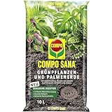 COMPO SANA Blumenerde für Grünpflanzen und Palmen, 12 Wochen Nährstoffversorgung, 10 Liter, COMPO SANA Grünpflanzenerde und Palmenerde