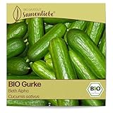 Samenliebe BIO Gurken Samen alte Sorte Beth Alpha Salatgurke Snackgurke grün 10 Samen samenfestes Gemüse Saatgut für Gewächshaus Freiland und Balkon BIO Gemüsesamen