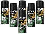 Deo Axe Wild 6 x 150ml Deospray Deodorant Bodyspray ohne Aluminium