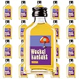 Kinky Drinks WACKELKONTAKT Marille – Glas – 20 x 20 ml = 400 ml – 16% Vol. Shot by IN-SPIRIT
