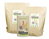 gesundo BIO Lupinenmehl - Lupinenprotein der weißen Süß-Lupine - 2,5kg Beutel