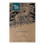 Echte Kamille (Matricaria chamomilla) - ca. 3000 Samen