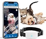 Hund GPS Tracker, Mini GPS Tracker Ohne ABO für Hunde und Katzen Tracker mit Wasserdicht Echtzeit-Tracking & Positionsverlauf Tracking GPS Halsbänder kostenloser App, Tracking Standort von Haustieren